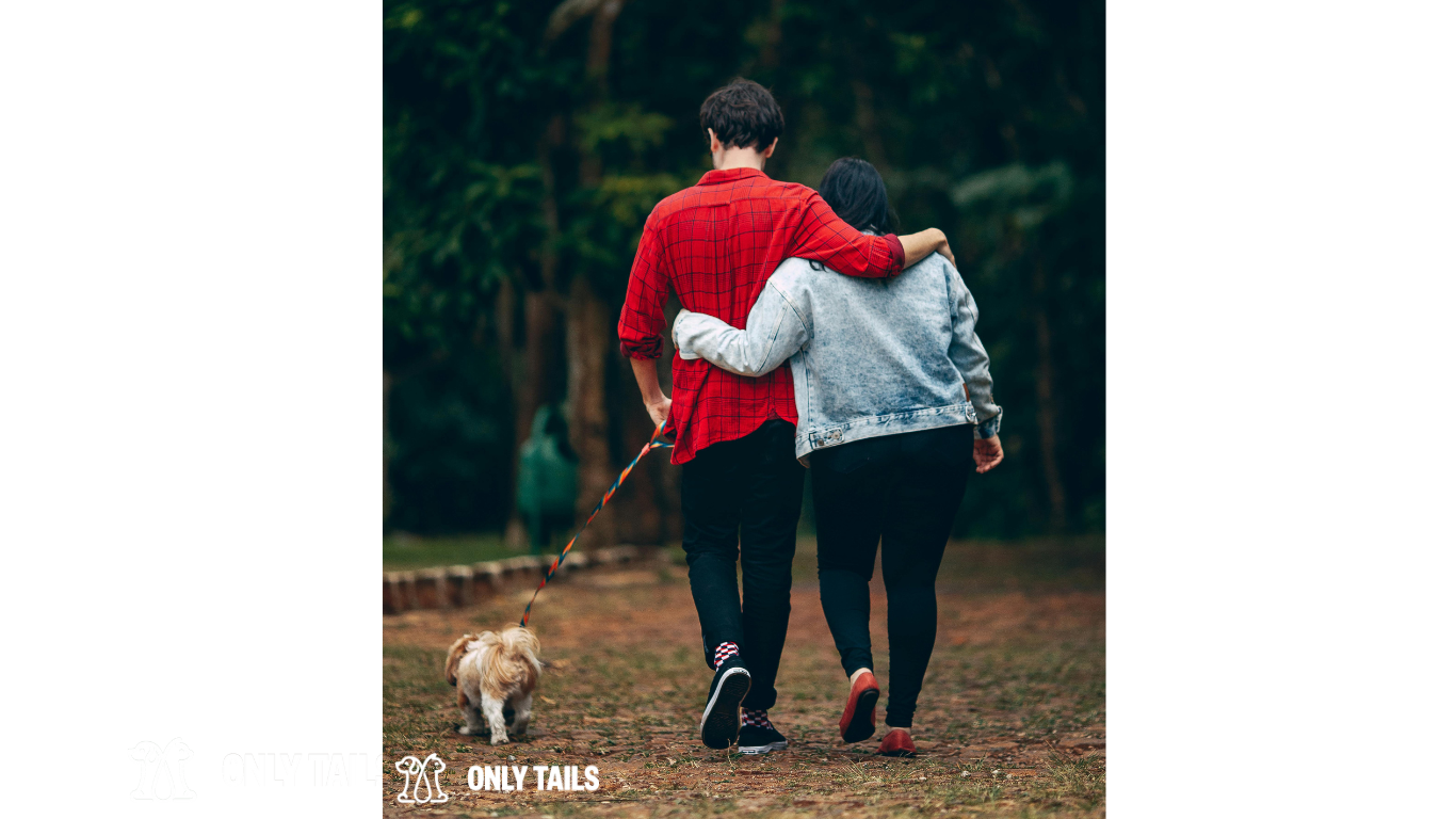 A couple walking in a park with their small dog on a leash. The couple is seen from behind, with their arms around each other, enjoying a peaceful walk together. The background is filled with lush greenery, indicating a natural, serene environment.