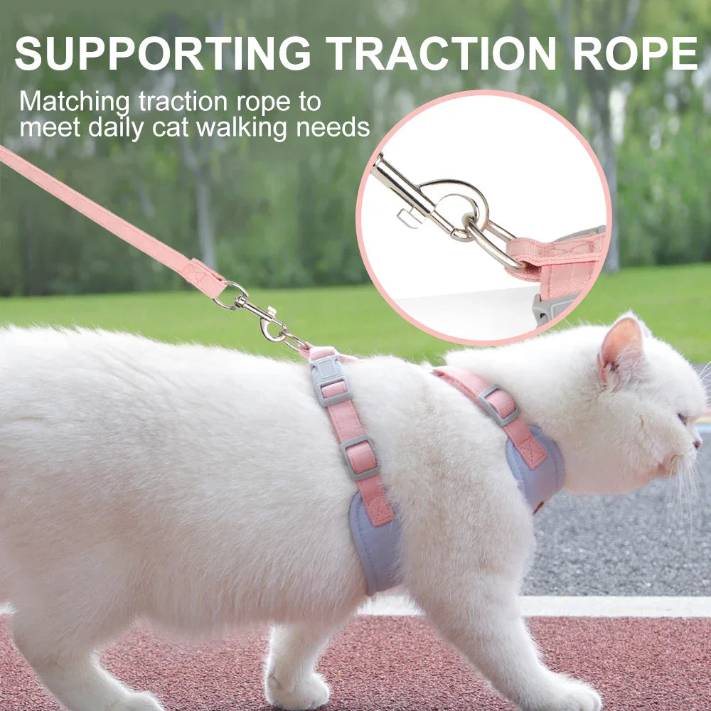 Comfort Kitty Suede Leash Set